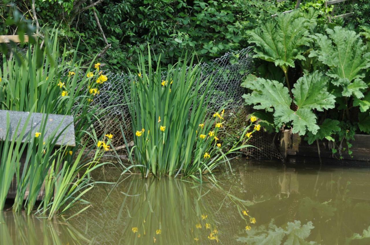 Woodies Peasmarsh Bagian luar foto