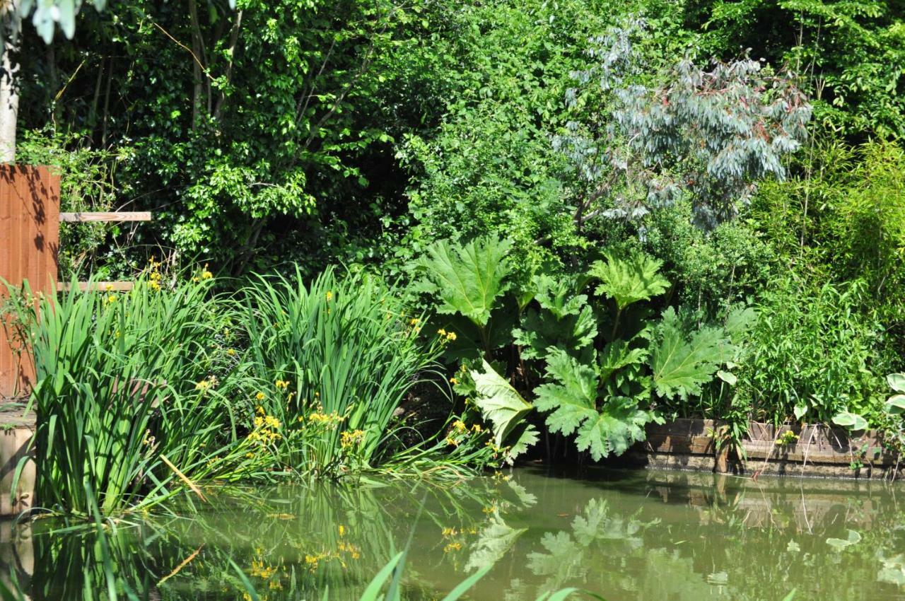 Woodies Peasmarsh Bagian luar foto